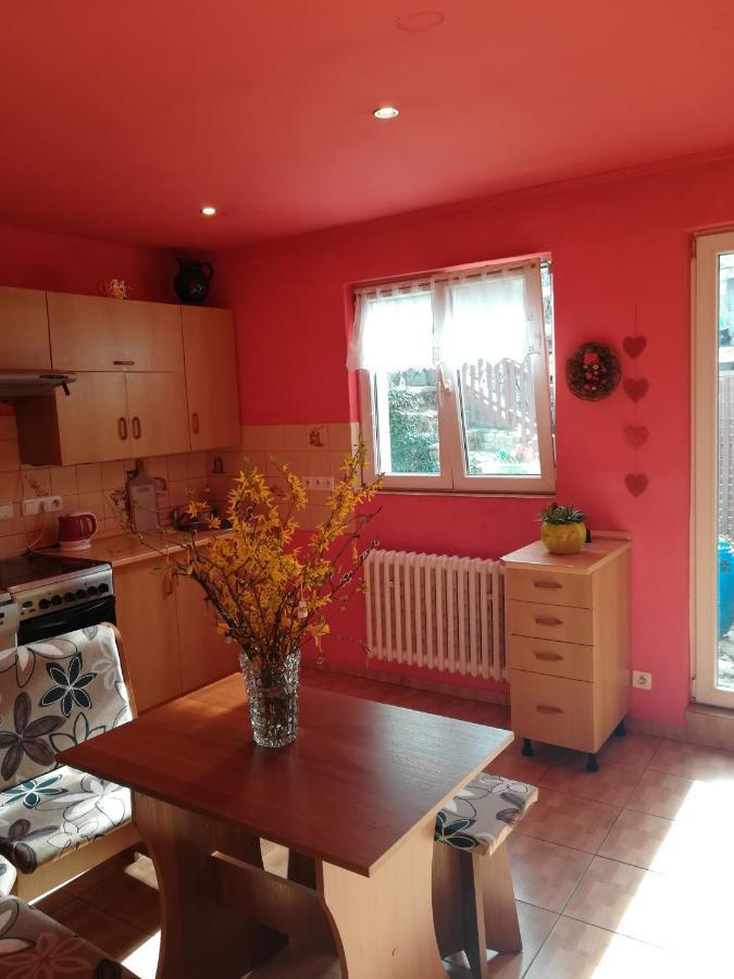 Prazdninovy Byt Arin Appartement Jáchymov Buitenkant foto
